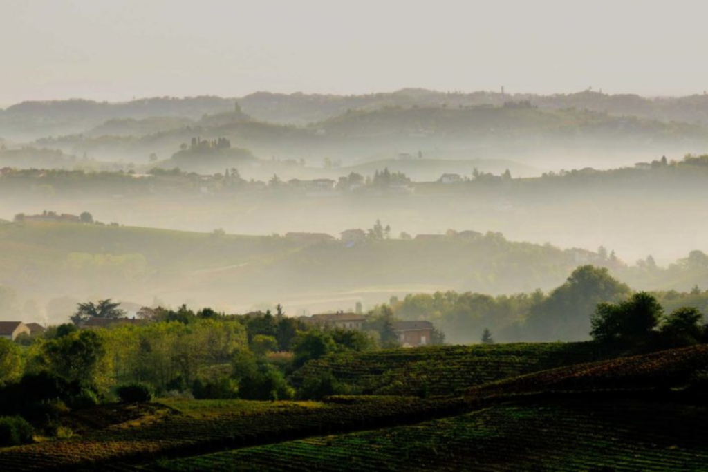 Asti Rosé, è ufficiale la nuova tipologia rosata entra nel disciplinare della Docg