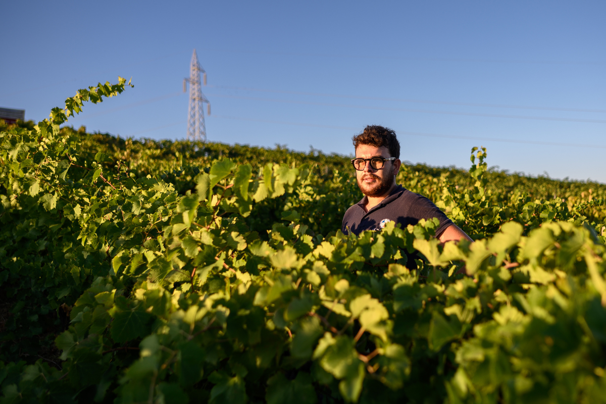 Con un nuovo ancestrale e un passito di Zibibbo Baglio Diar amplia il racconto della sicilianità