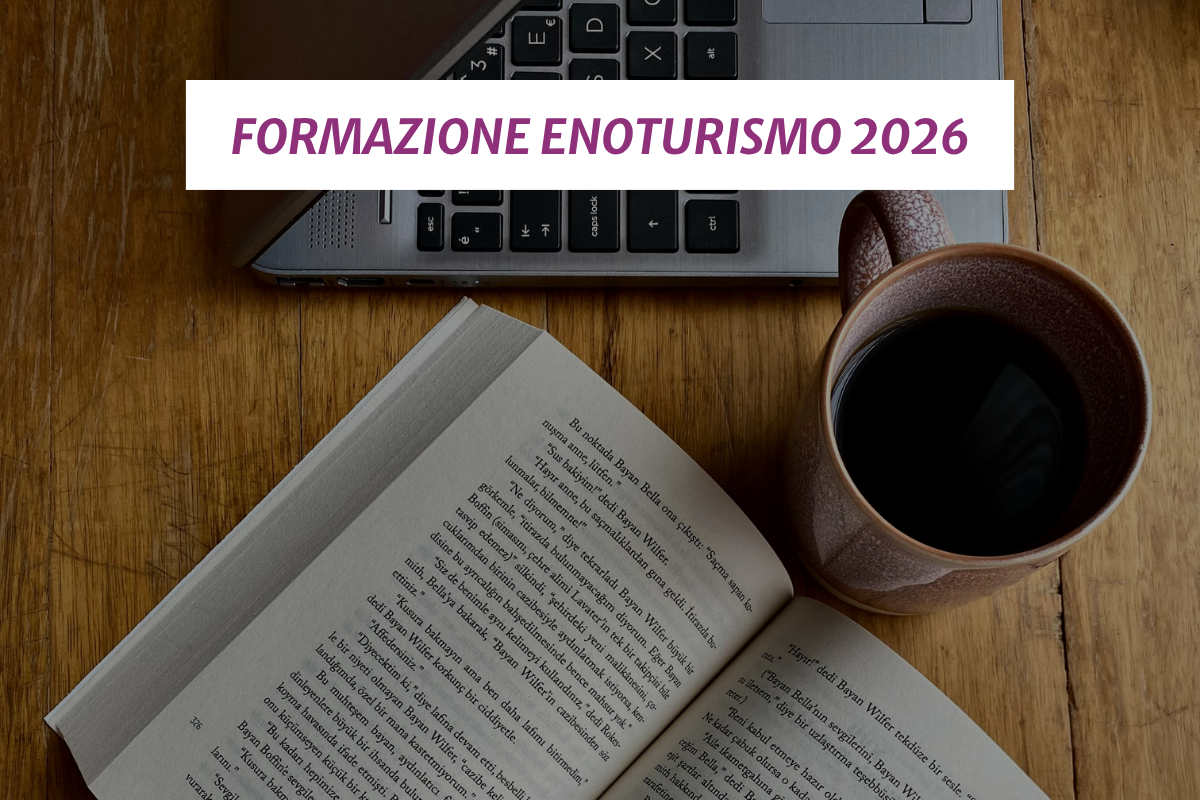 Formazione enoturismo in pillole 6 approfondimenti digital per massimizzare i risultati in cantina