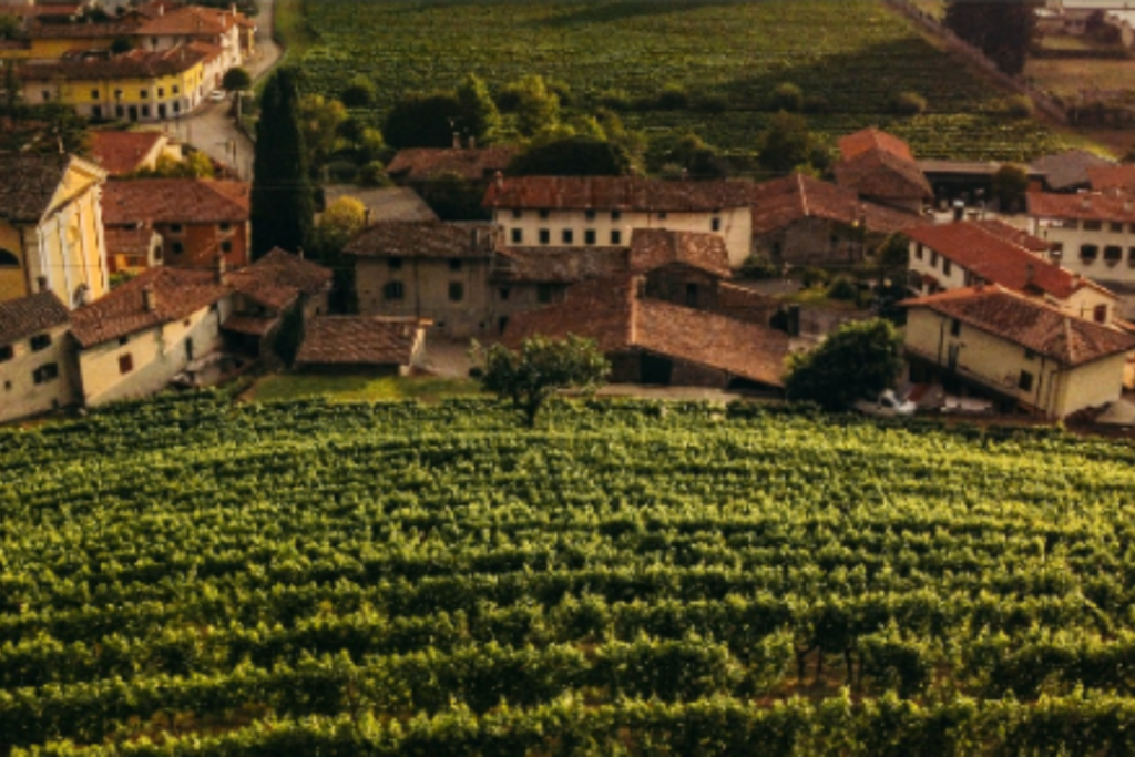 Il Collio si stringe attorno a Borgo del Tiglio una lettera aperta per salvare la memoria del Ronco della Chiesa