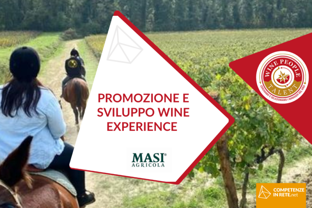 PROMOZIONE E SVILUPPO WINE EXPERIENCE
