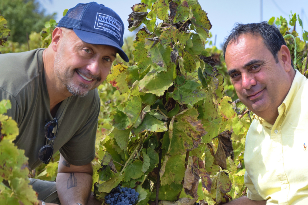 Progetto senza titolo (1)