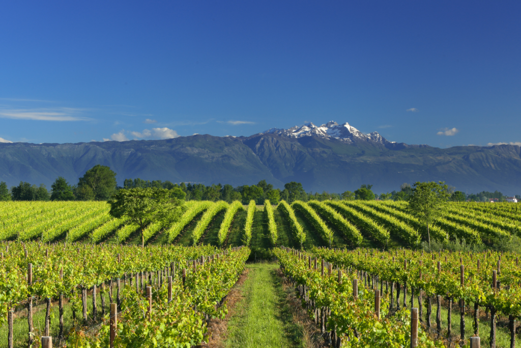 Progetto senza titolo (1)