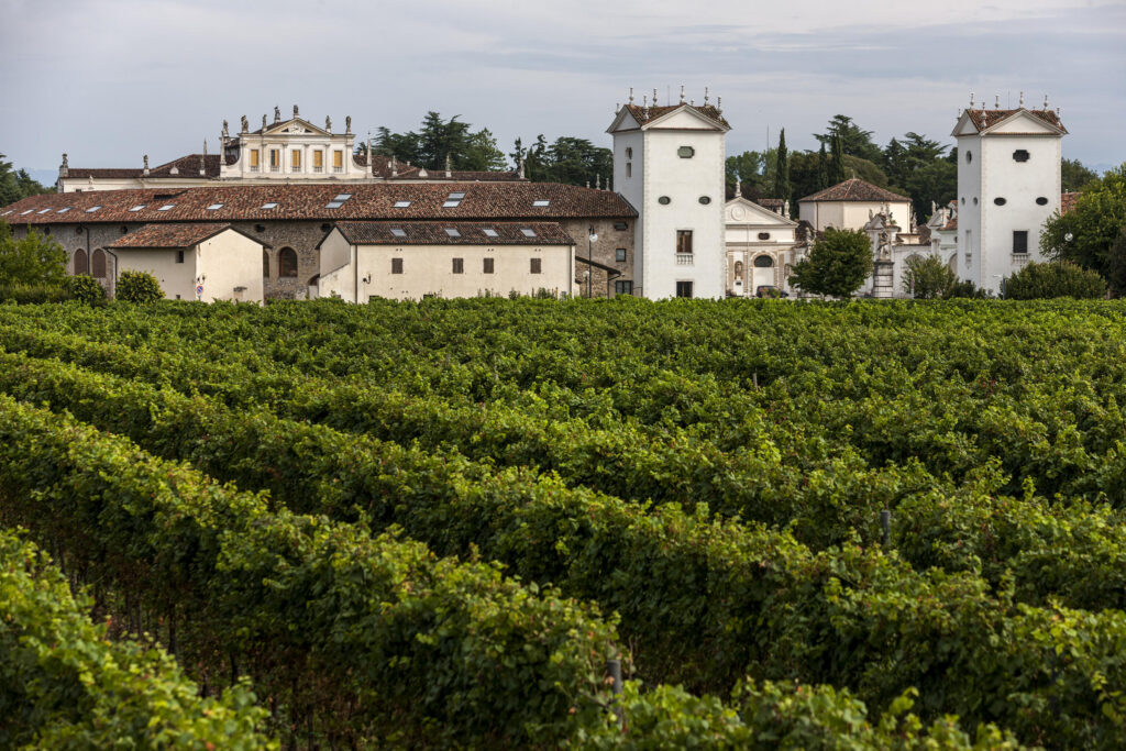 Vendrame Mattina 263