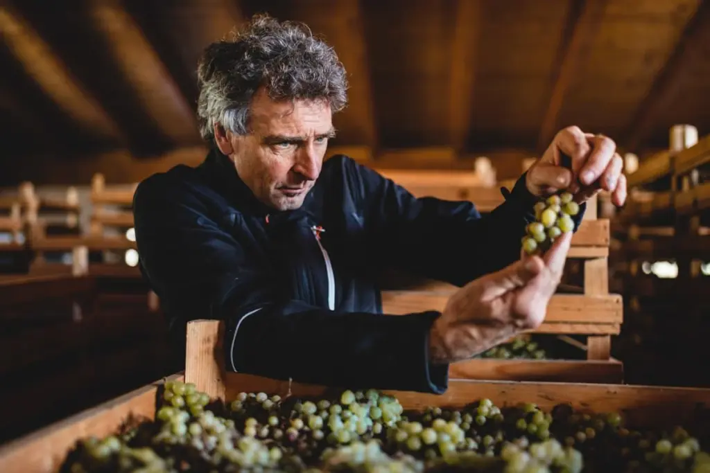 alessandro poli associazione vino santo trentino