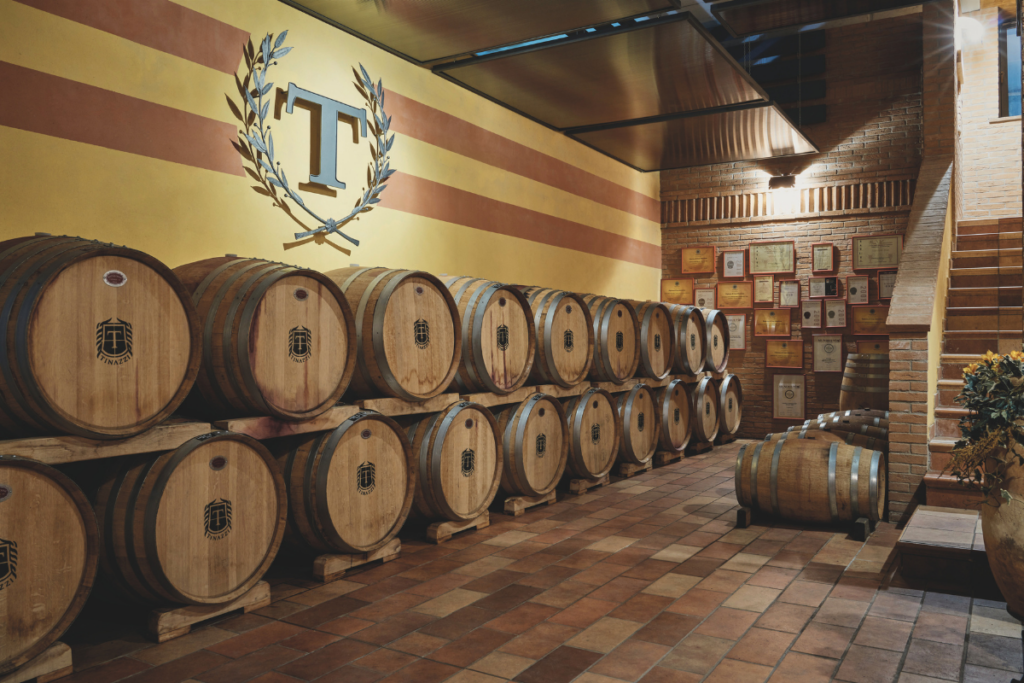 Bilancio di sostenibilità 2025 Tinazzi accelera su innovazione e tutela del territorio