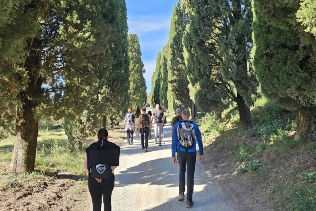 Wine Trekking Umbria primavera 2026 camminare tra i vigneti per scoprire il territorio