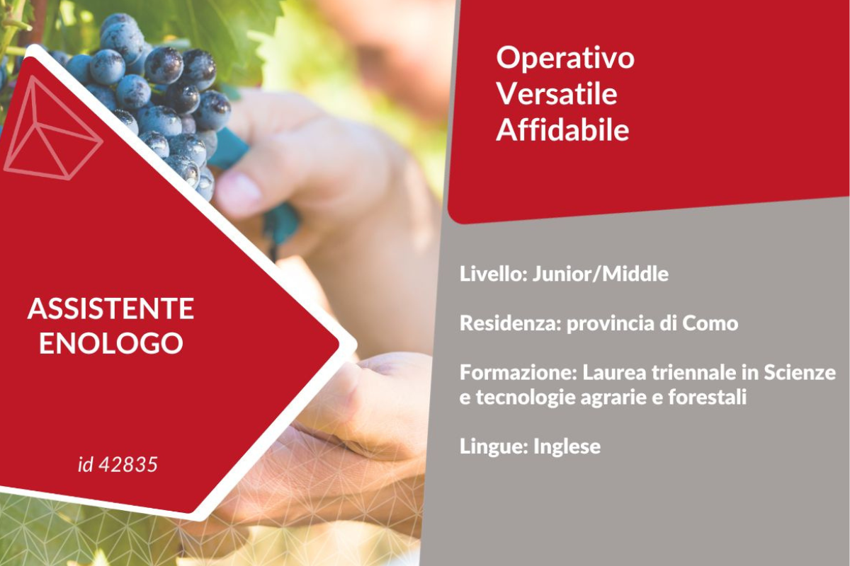 Assistente Enologo