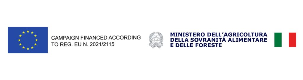 Logo OCM 2025 classico (1)