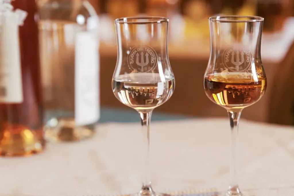 guida scelta grappa trentino distillerie