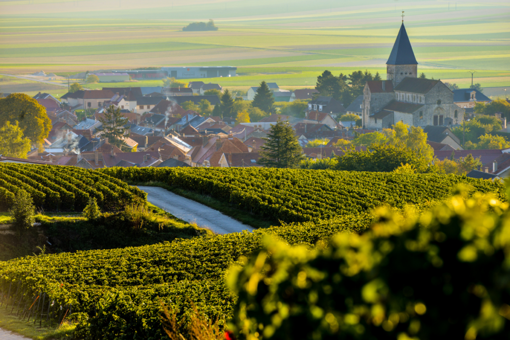 Borgogna e Champagne perché il camper di Wine Meridian riparte dai territori che il mondo del vino guarda da sempre