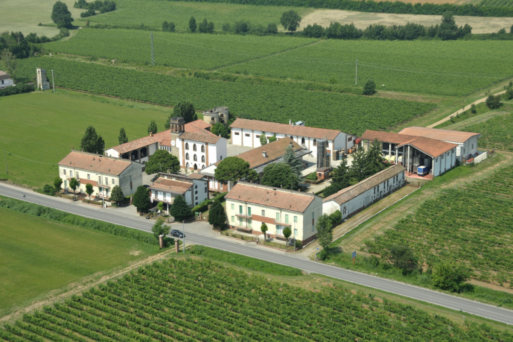 Cantine Romagnoli entra in Compagnia delle Vigne i Colli Piacentini nel polo wine di CDGH