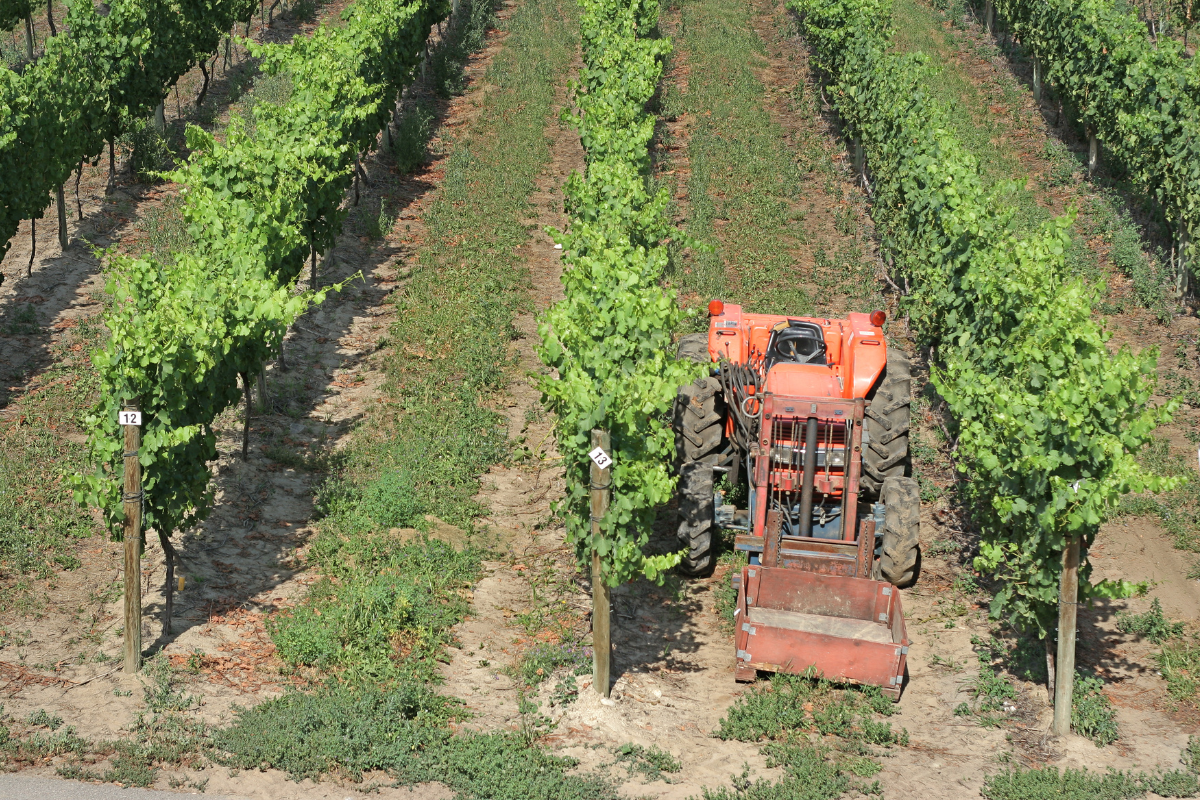 Macchinari agricoli italiani, export a 1,27 miliardi la domanda europea traina la crescita