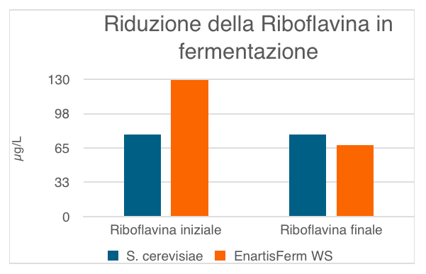 Schermata 2026 06 25 alle 14.26.11