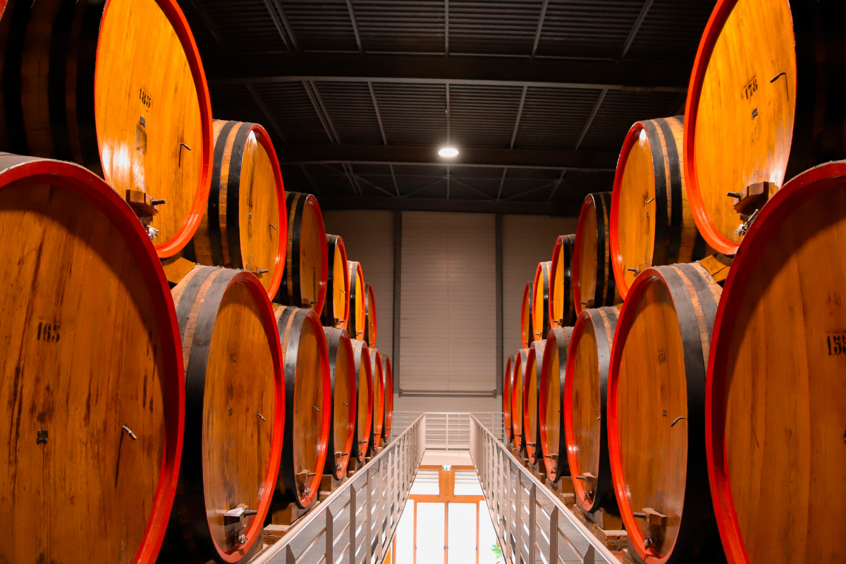 The international market of Sicilian wine where we are and where we can reach