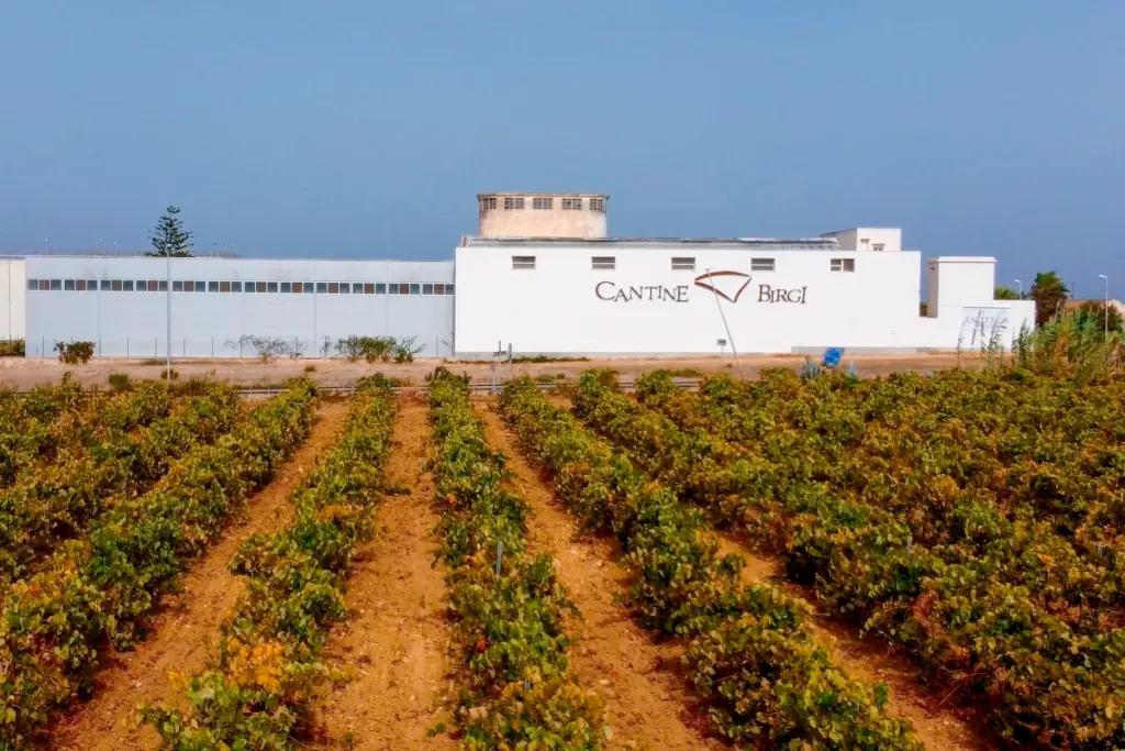 cantine birgi cooperativa