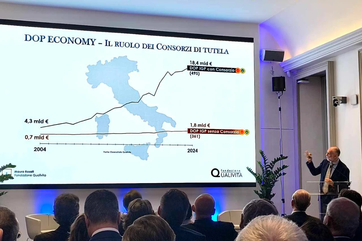 report mediobanca vino
