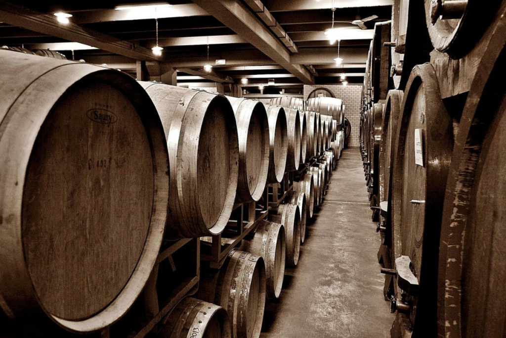 Cantina Tollo cresce ancora 133 nuovi ettari per il futuro del vino abruzzese