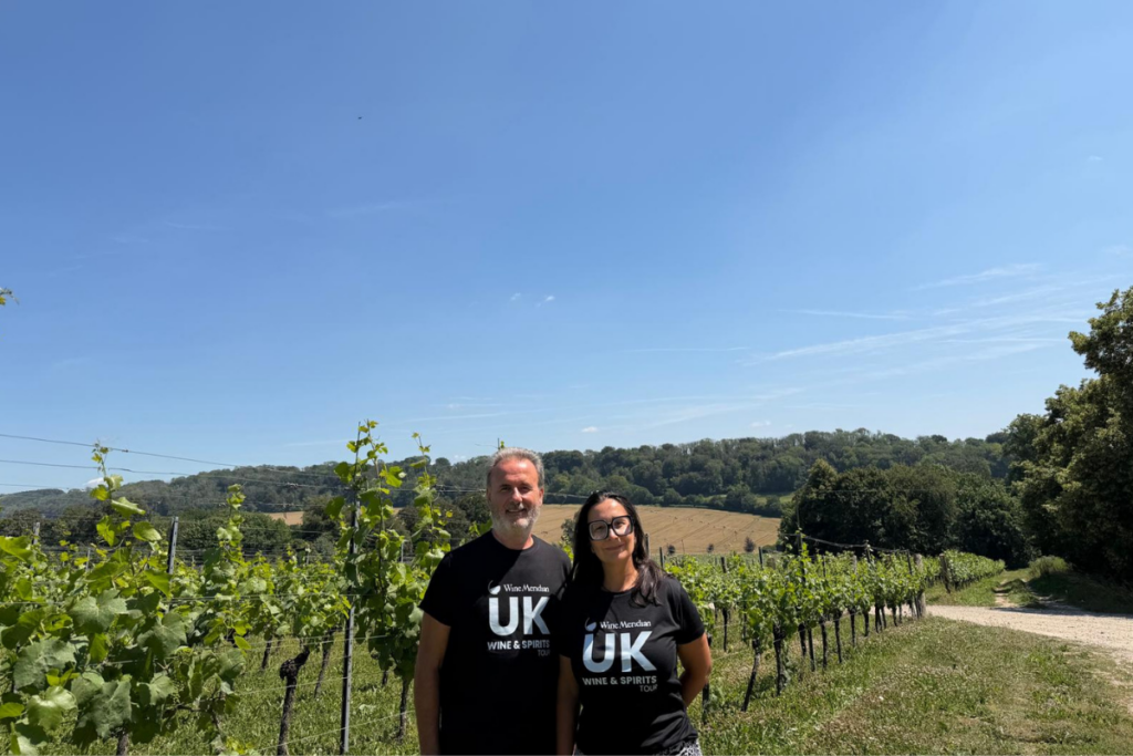 Hambledon, la cantina che ha inventato il vino inglese