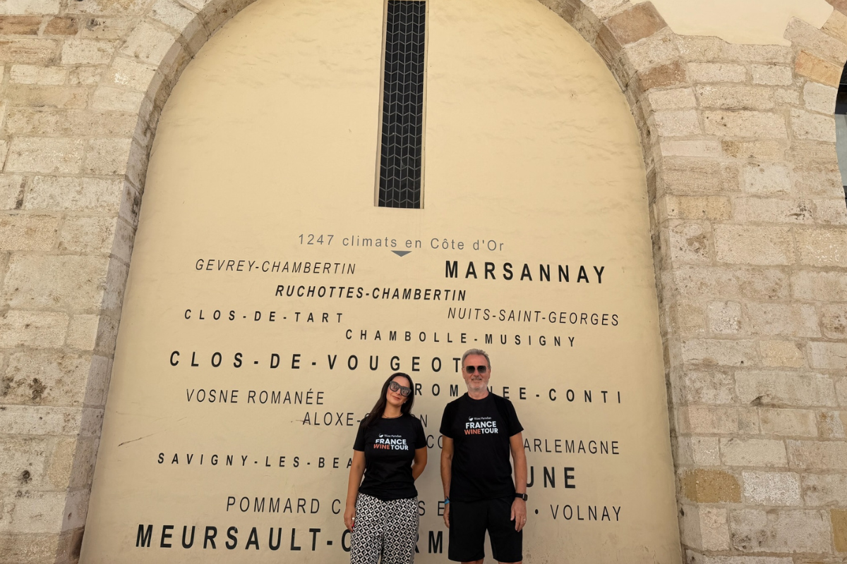 Niente vigneti, solo racconto il modello Grande Cave de Vougeot
