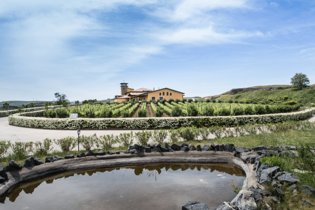 Un museo per raccontare il Vulture il nuovo progetto di Cantine del Notaio