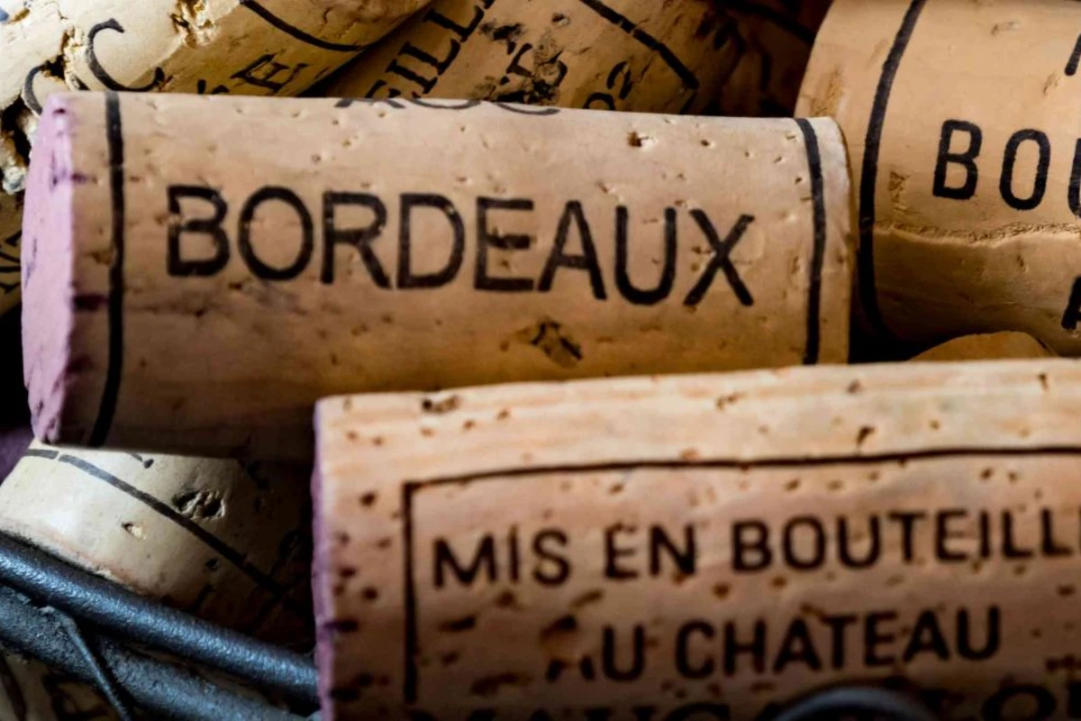 bordeaux crisi dati analisi