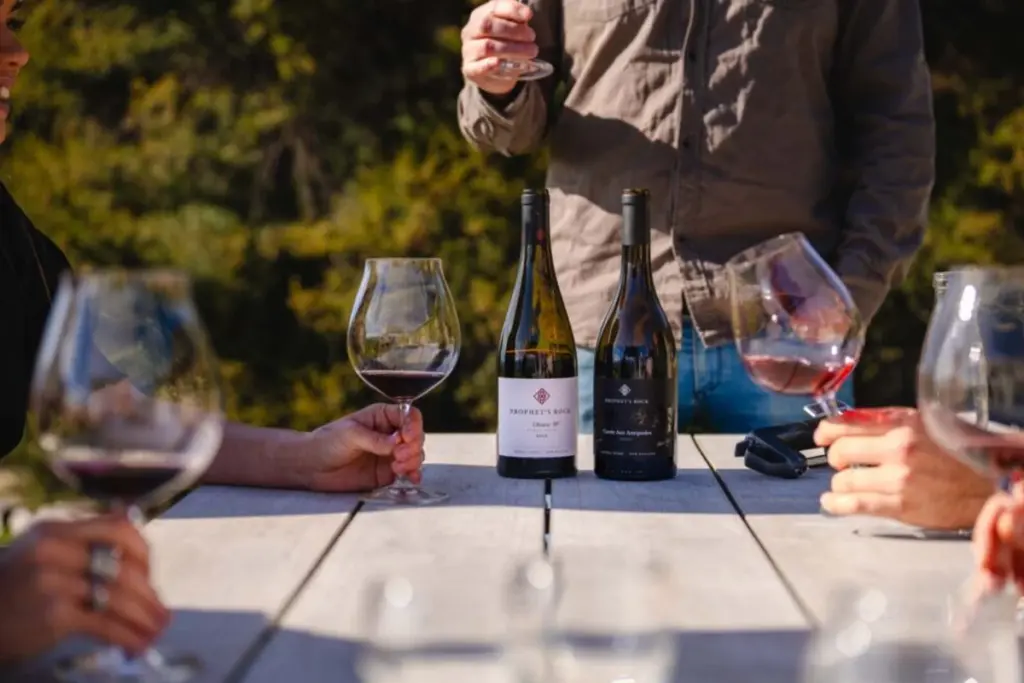 vendita diretta vino stati uniti analisi dati