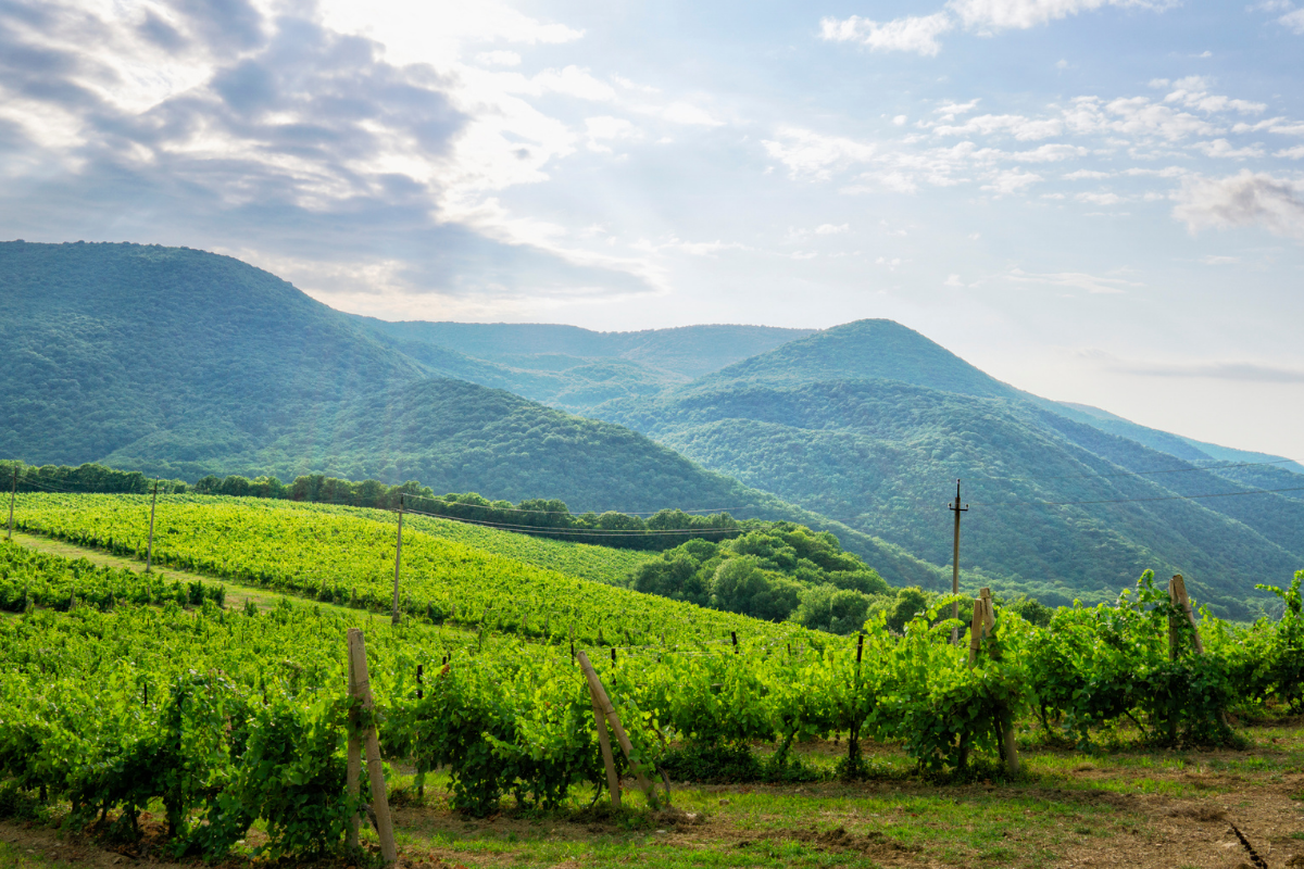 Il tuo territorio promuove la tua azienda enoturistica? Come trasformare gli albergatori vicini in uffici stampa
