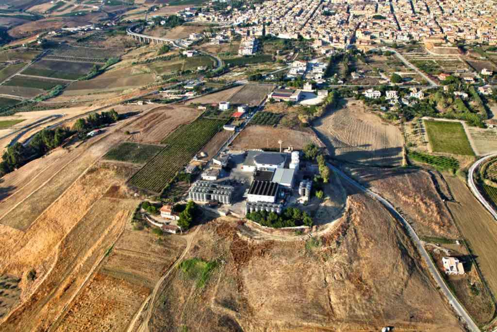 Cantine Settesoli, prima licenza in Sicilia per i vini dealcolati