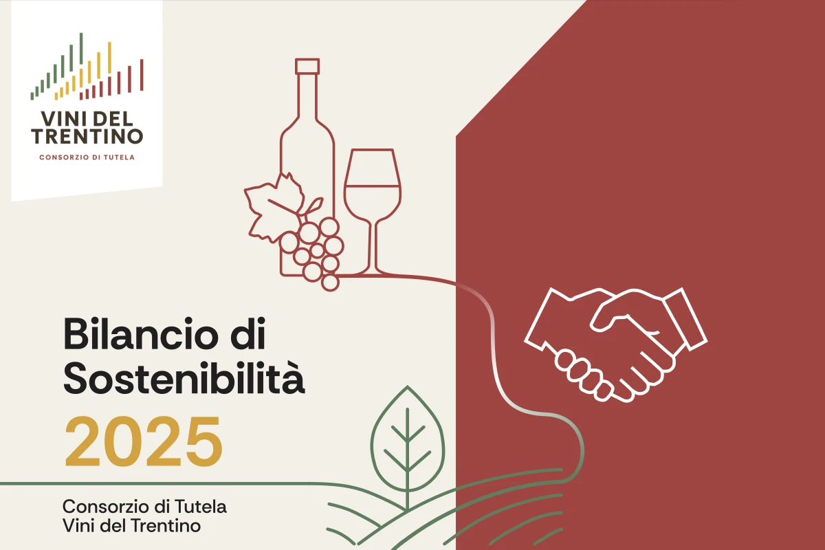 copertina bilancio sostenibilià consorzio vini trentino