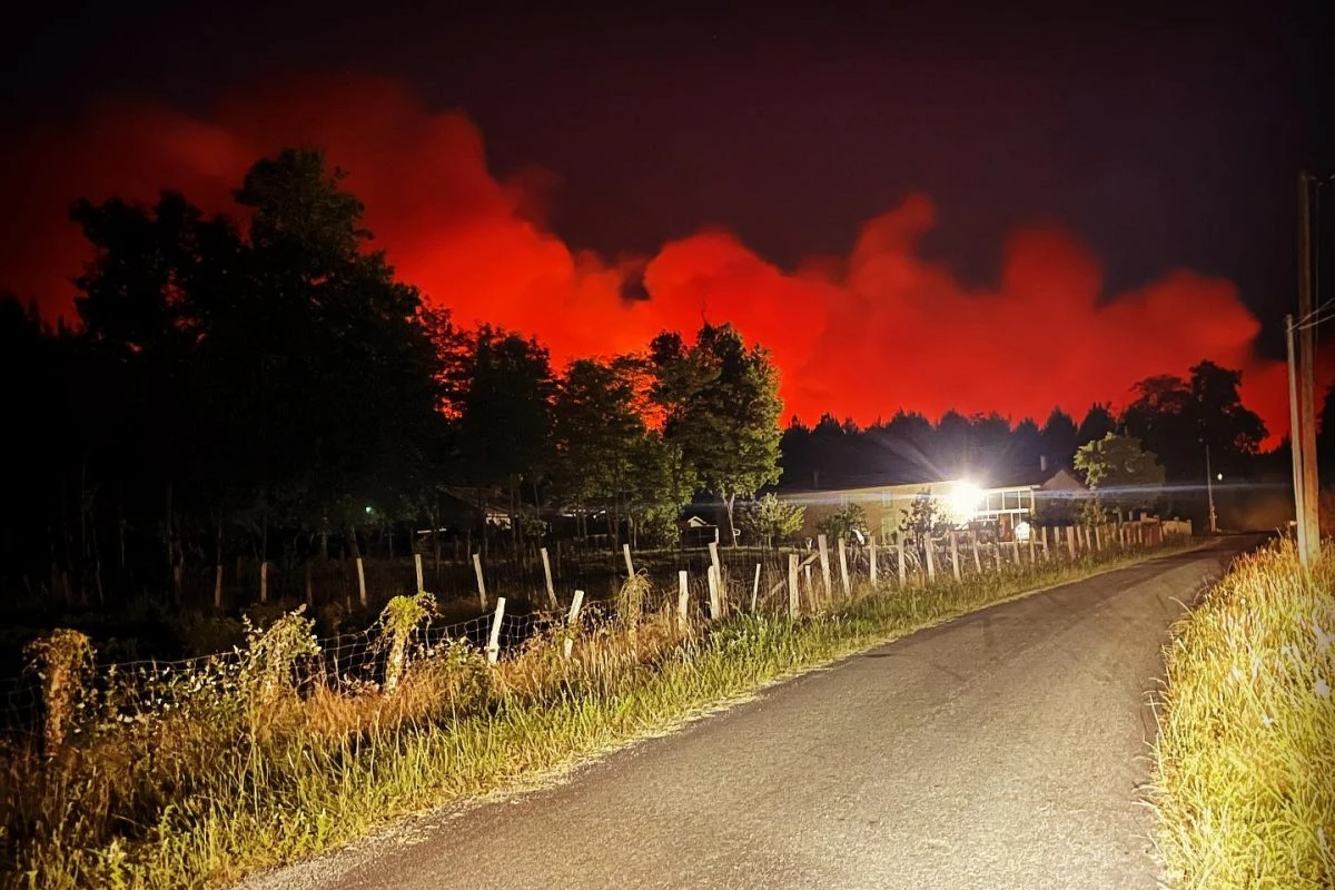 incendi crisi bordeaux vino