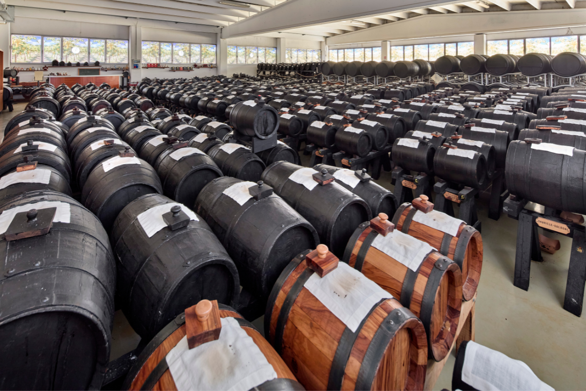 Acetaia Malpighi conquista il Great Taste Award con l'Aceto Balsamico di Modena IGP Bordeaux
