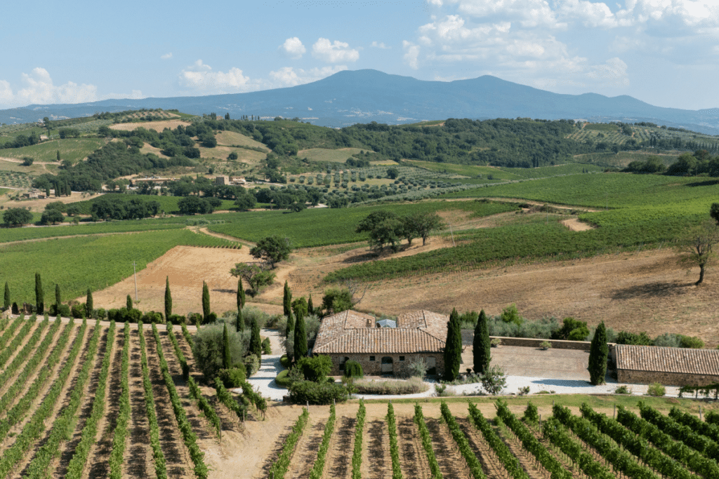 Aminta, Montalcino secondo Famiglia Cecchi