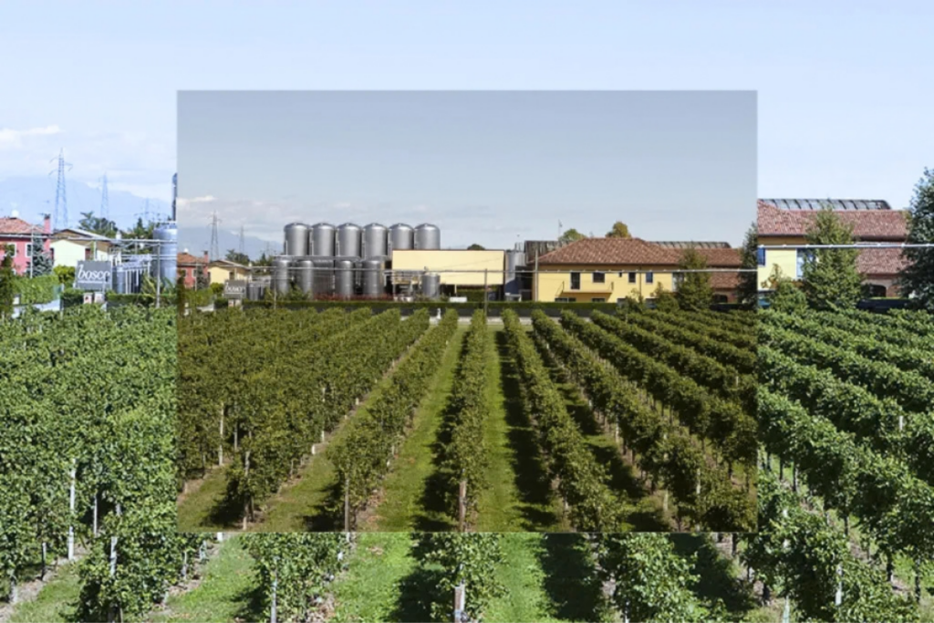 Bosco Viticultori
