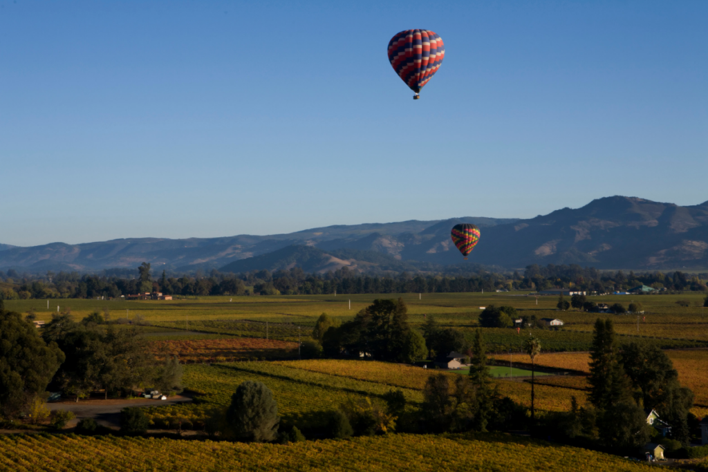 Napa Valley meglio poche visite strutturate o tante più veloci e leggere?