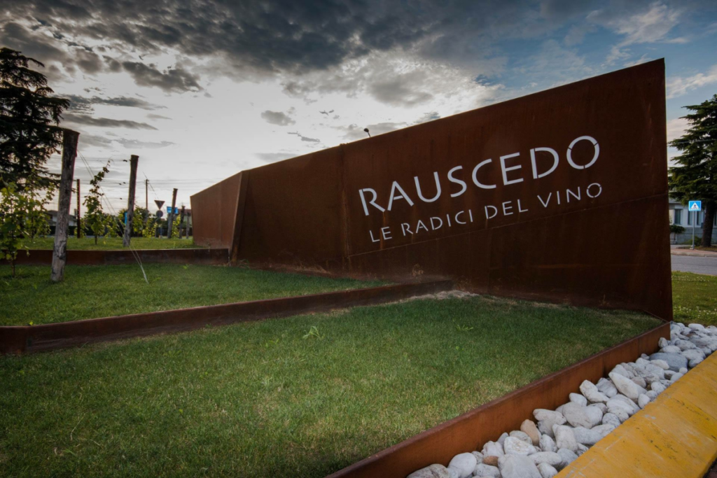 Vendemmia 2026 alla Cantina Rauscedo qualità, selezione e nuovi progetti strategici