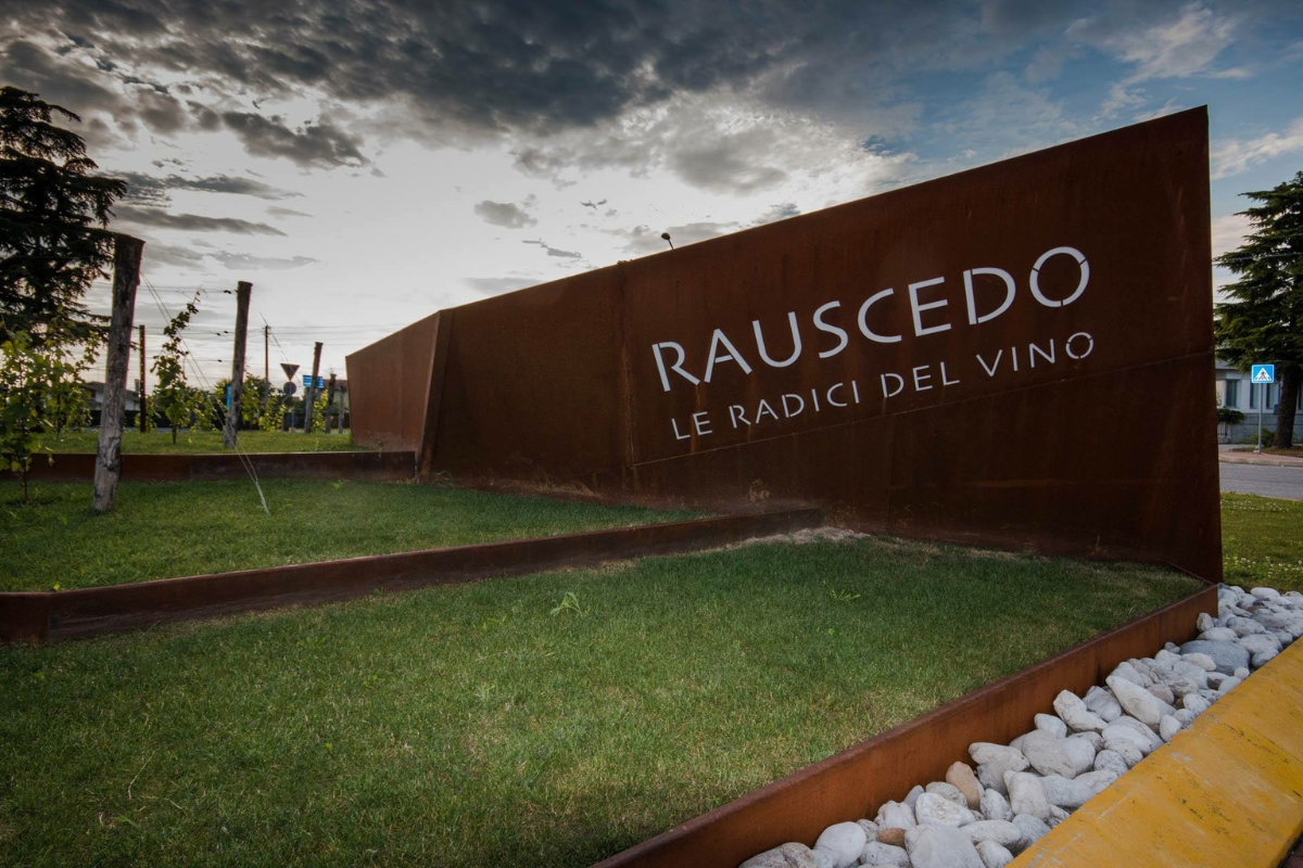 Vendemmia 2026 alla Cantina Rauscedo qualità, selezione e nuovi progetti strategici