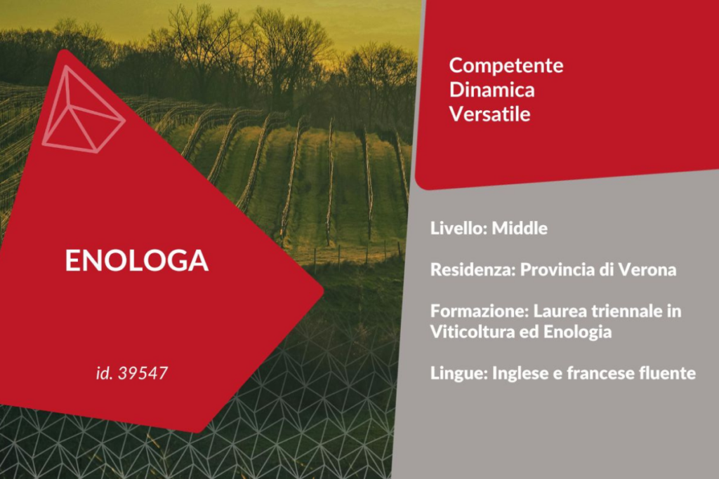 enologa