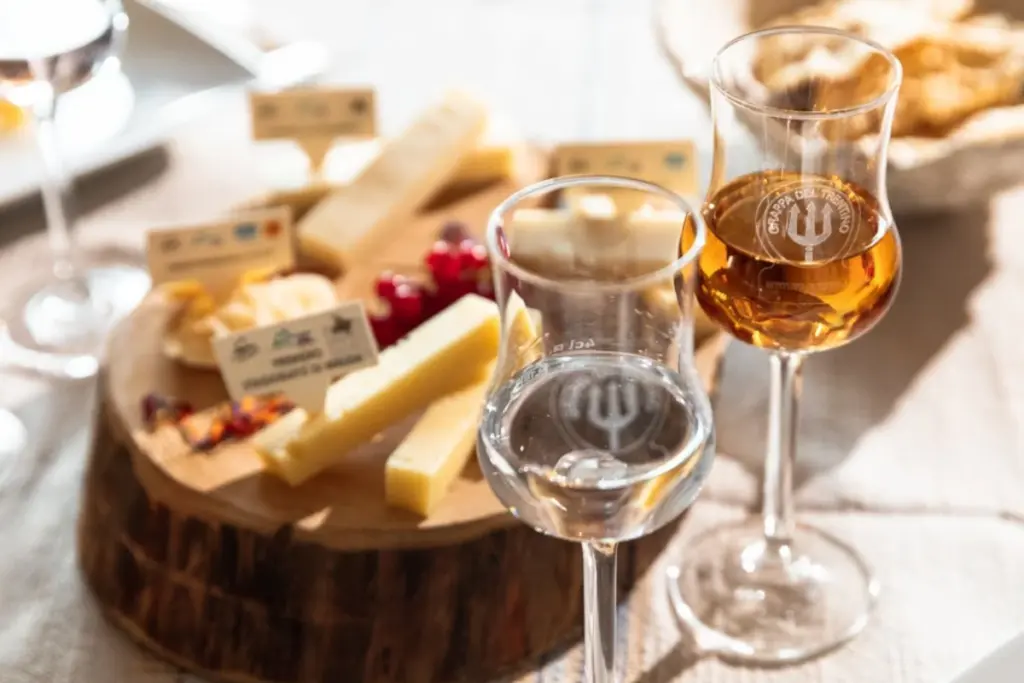 grappa trentino