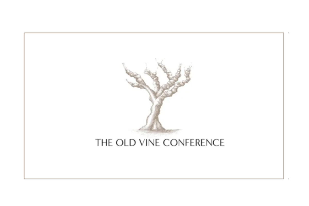 Radici Vive l'Old Vine Conference 2026 arriva a Fontanafredda, con Tamlyn Currin come host