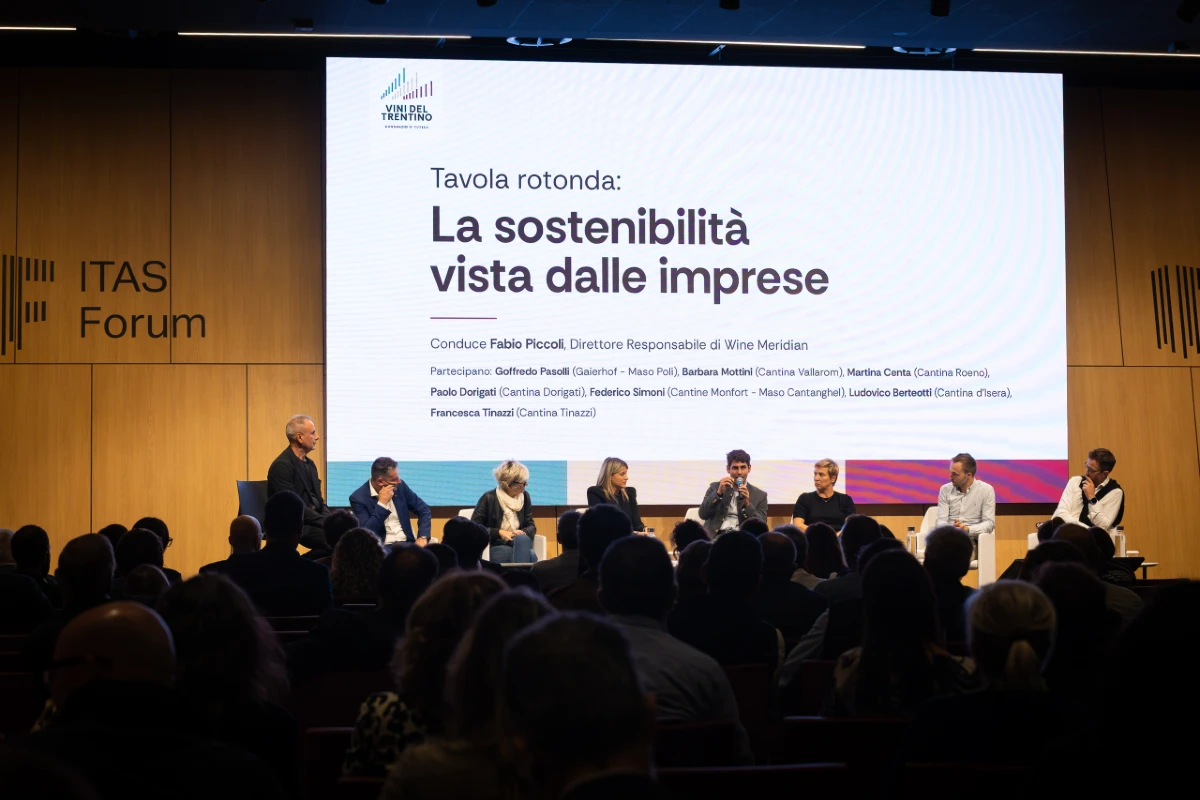 bilancio sostenibilità 2025 consorzio vini trentino