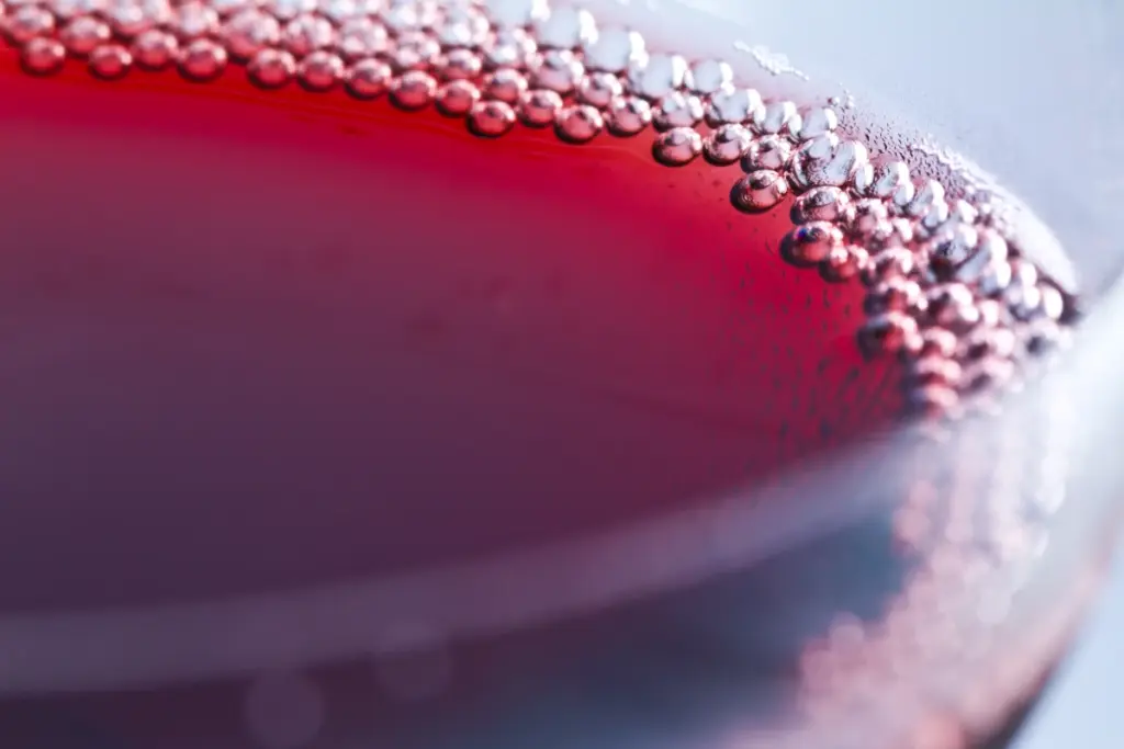 vino clean trasparenza etichette informazioni