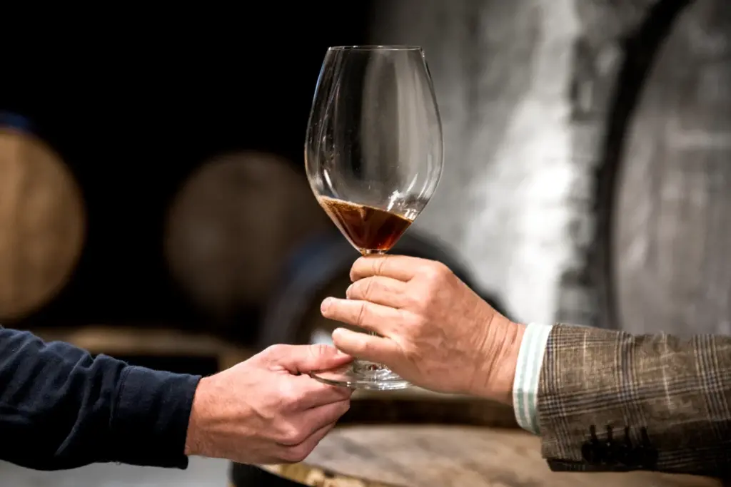 vino italiano mercato dati analisi